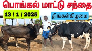 13 / 1 / 2025 / பொங்கல் மாட்டு சந்தை மேலப்பாளையம் #மாடு #மாட்டுசந்தை #மேலப்பாளையம் #maadu #cow