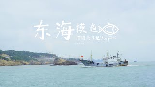 【猫罐头的vlog】东海摸鱼，日出东海，海山生活，浙江温岭石塘