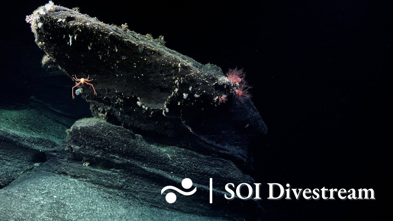 Rock Sygr4 Soi Divestream 661 Youtube