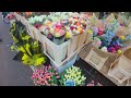 albert cuyp market amsterdam 4k beautiful street market for food flowers souvenirs