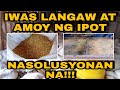 SOLUSYON SA LANGAW AT AMOY NG IPOT NG 45 DAYS CHICKEN | JAY TIPS TV