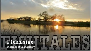 FishTales: Manageable Monday