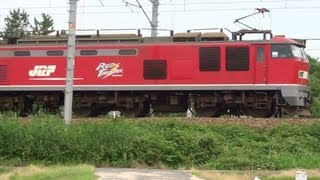 EF510-8　4076レ　2013.06.28　琵琶湖線