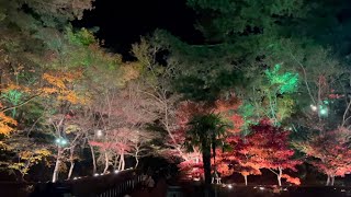 柏崎 松雲山荘 日本庭園 紅葉 ライトアップ 木村茶道美術館 柏崎市緑町, 新潟県, 日本 2023年11月