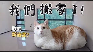 【黃阿瑪的後宮生活】我們搬家了！