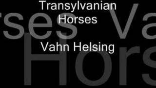 Transylvanian Horses