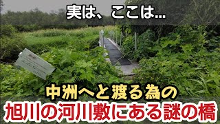 岡山市の旭川河川敷にある謎の橋を探検します。