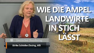 Wie die Ampel die Landwirte in Stich lässt