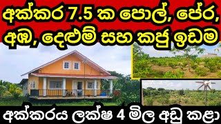 අක්කරයක් ලක්ෂ 4 මිල අඩුම අඩු කළා | Land for sale | Agriculture land | Pol idam | Coconut land