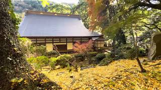 箱根湯本・早雲寺の紅葉