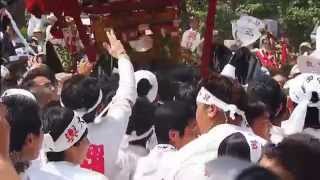 平成26年 【焼津神社大祭】 荒祭 ① 発輿 （御発ち） 2014 8/13