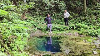 深山里惊现神秘水潭，潭水深不可测，流出清澈的山泉，每小时出水数百吨， 这么大的水流量到底从何而来！