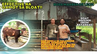 PAG BISITA SA KAMBINGAN NI BOSS MARBEN DE LEON/GOAT FARMING/GOAT BREEDER/BACKYARD BREEDER