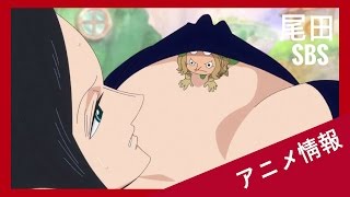 《 海賊王 》尾田的SBS問答 07 《 尾田 VS 海迷 無節操問答》  ／ ONE PIECE ／ ワンピース  ／ 動漫情報 ／ 动漫情报 ／ アニメ情報 - 玩咖アニメ