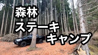 【ハイラックス森林キャンプ】ひたすらステーキin丹波篠山