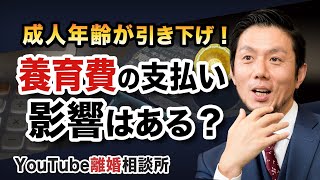 【成人年齢　養育費】弁護士が解説！成人年齢が引き下げ！養育費の支払いへの影響は？【弁護士飛渡（ひど）】