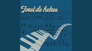 Forêt de Hêtres