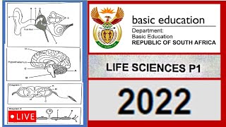 2022 paper 1, life sciences, grade 12, m.saidi
