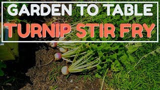 Garden to Table  - Home grown Turnip Recipe | Roochis Town