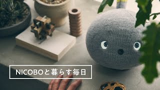 NICOBO（ニコボ）と暮らす毎日 Short Ver.【パナソニック公式】