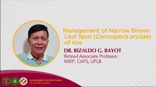 Management of Narrow Brown Leaf Spot (Cercospora oryzae) of rice