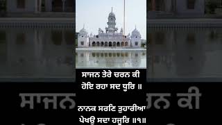 ਪ੍ਰੇਮ ਮਈ ਸ਼ਬਦ | Gurbani | Shabad path | #shorts #gurbani