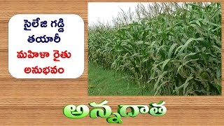 Sailage Production through Machinery | by Lady Farmer of Krishna Dist || ETV Annadata