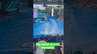 Big splash at orca encounter at SeaWorld Orlando in Florida May 2023