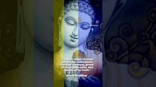 #buddha #buddhaquotes #sandeepmaheshwari #sonusharma #motivation #inspiration #success