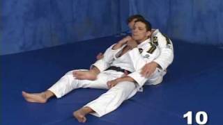 Saulo Ribeiro Jiu-Jitsu Revolution 1 - The Back Position