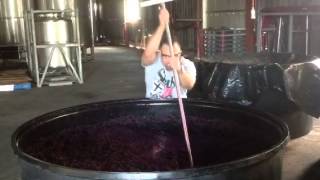 Sam Scarpari's WINE PASSION #184 Seraphim 2014 Heathcote Shiraz