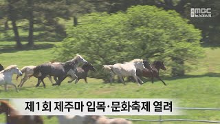 제1회 제주마 입목·문화축제 열려