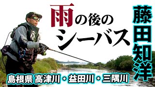 こんなところにシーバスが！？山間の清流をデイゲーム縛りで攻略する 2/2 『Dz SALT 108 藤田知洋×清流のデイシーバスゲーム in 島根』イントロver.【釣りビジョン】その②