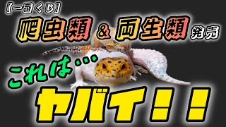 【一番くじ】爬虫類\u0026両生類発売！当たりすぎてヤバかった…