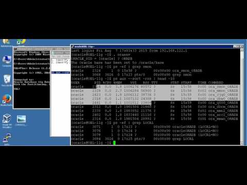 Trace session details with USER process and SERVER process ID Trace session details with USER process and SERVER process ID