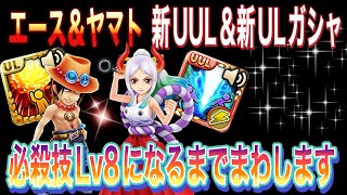 【サウスト】ヤマト＆エース 新UUL＆ULガシャ