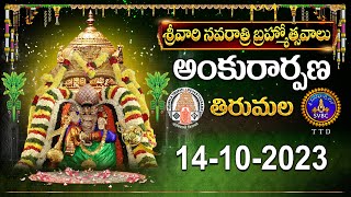 Srivari Navarathri Brahmotsavalu || Ankurarpanam || Tirumala || 14-10-2023 || SVBC TTD