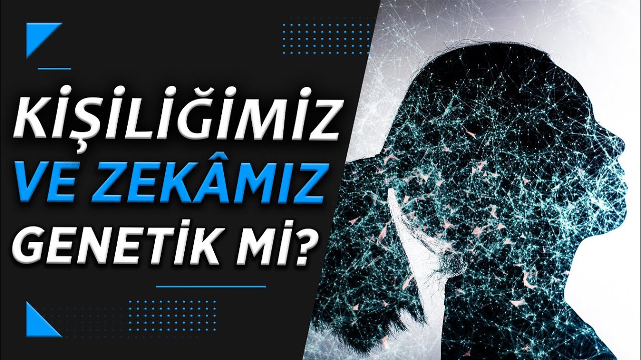 Zekâ Geliştirilebilir Mi, Yoksa Sabit Mi? - YouTube