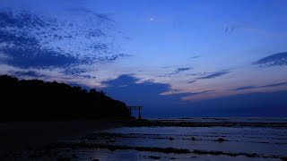 【Japan 1minute Travel MIYAZAKI Aoshima】 宮崎 青島（神話のふるさと、宮崎青島神社からの朝景）