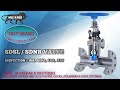 GLOBE VALVE (SDSL/SDNR) IN INDIA. #short #youtubeshorts