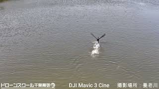 ②新型「MAVIC3CINE」の実力は!?　千葉県空撮【養老川】