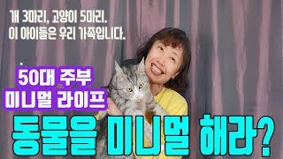 말이 사람의 마음을 다치게 할 수 있어요| 써니네TV| 50대 써니네 토크타임