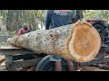 Kayu Jati Di Dekat Makam‼️Di Rajang Gergaji Bandsaw Rakitan