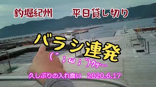 釣堀紀州　平日の少人数貸し切りにいってみた!