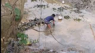 They were trying to find out the varieties of fish in the lake.