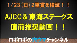 2022/1/23(日)　AJCC＆東海ステークス厳選推奨馬！！※1/22切り抜き動画