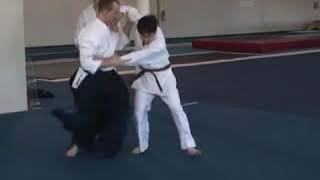 The Purpose of Aikido