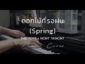 [ Cover ] ดอกไม้ที่รอฝน THE TOYS x NONT TANONT - piano by fourkosi