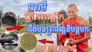 បារមីកោះគោកធ្លក វត្តសុត#រាជិនីលង្វែក