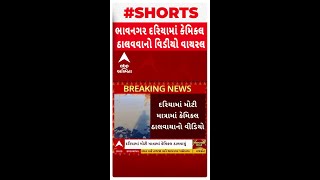 Bhavnagar News | ભાવનગરના સરતાનપર બંદરમાં કેમિકલ ઠાલવાયાનો વીડિયો વાયરલ